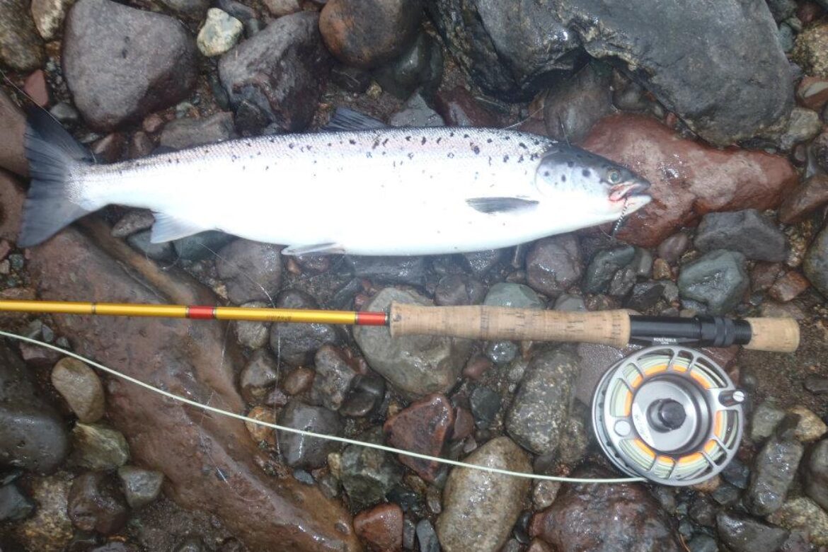 602354_436157376414607_1225791982_n