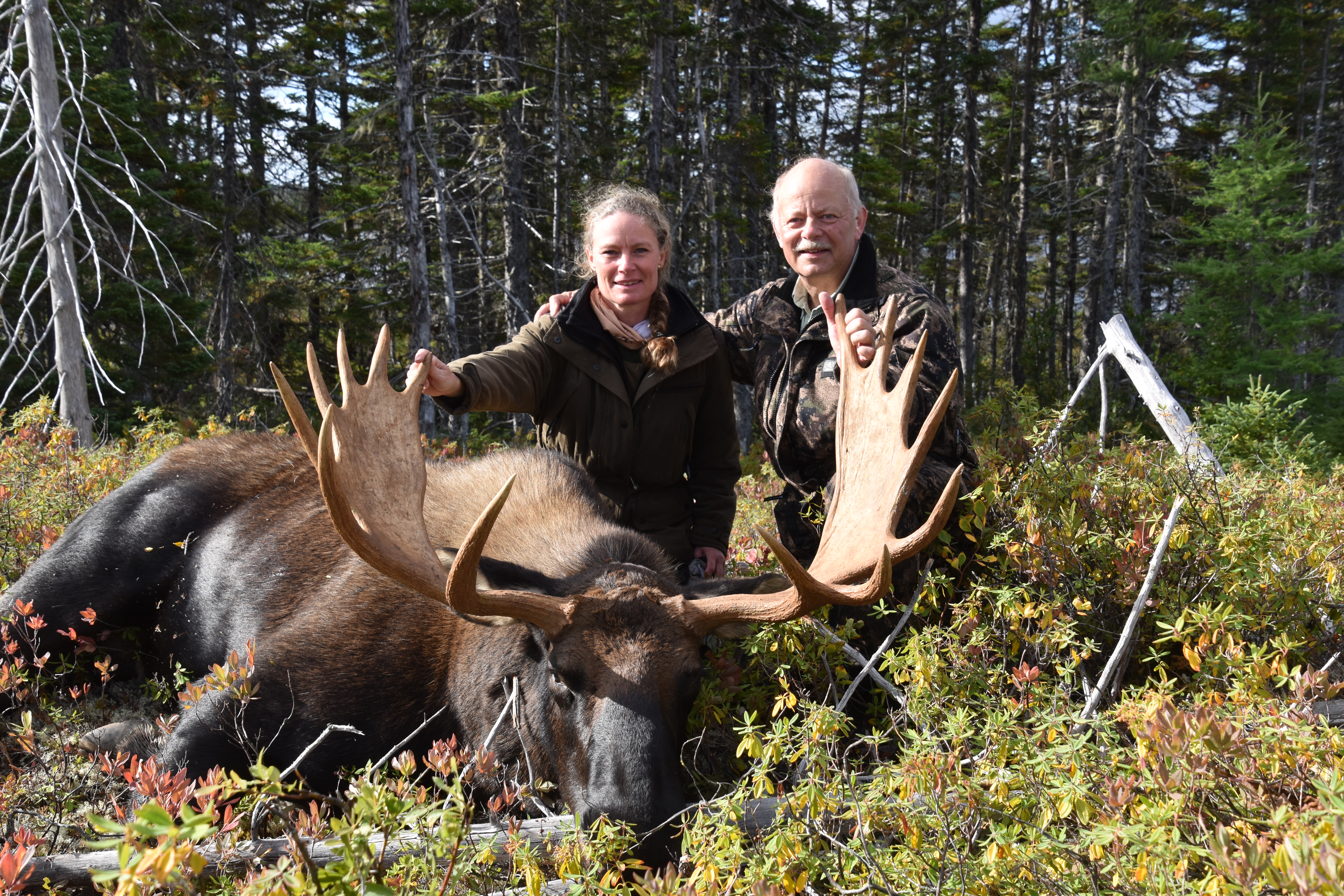 Why Choose Island Safaris?